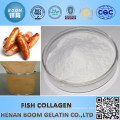 CHINA HALAL FISH COLLAGEN POWDER